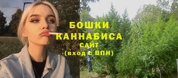 ГАЛЛЮЦИНОГЕННЫЕ ГРИБЫ Белокуриха