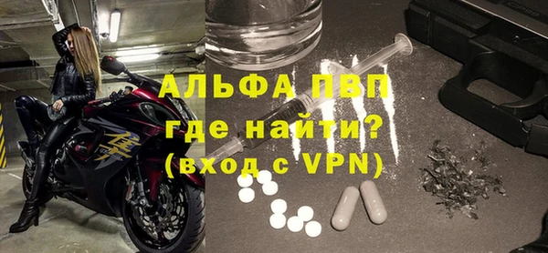 ГАЛЛЮЦИНОГЕННЫЕ ГРИБЫ Белокуриха