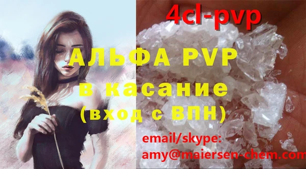 ГАЛЛЮЦИНОГЕННЫЕ ГРИБЫ Белокуриха
