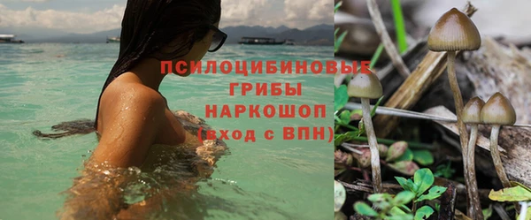 твердый Баксан