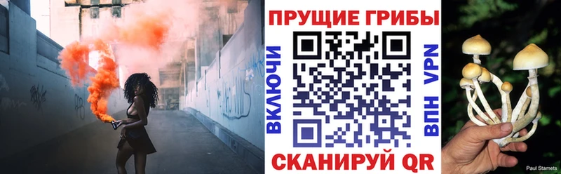 MEGA ТОР  Шелехов  Галлюциногенные грибы Psilocybine cubensis  купить  
